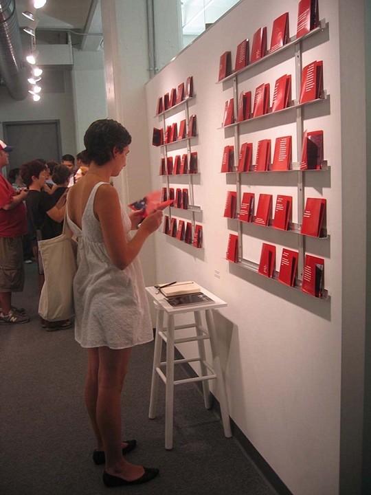 Brooklyn Art Center installation